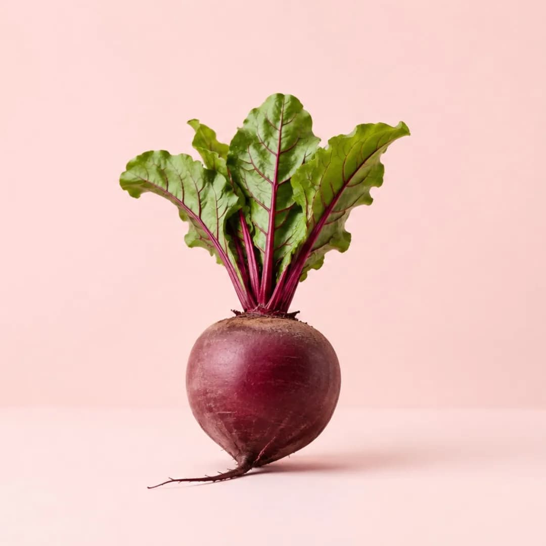 Beetroot for babies